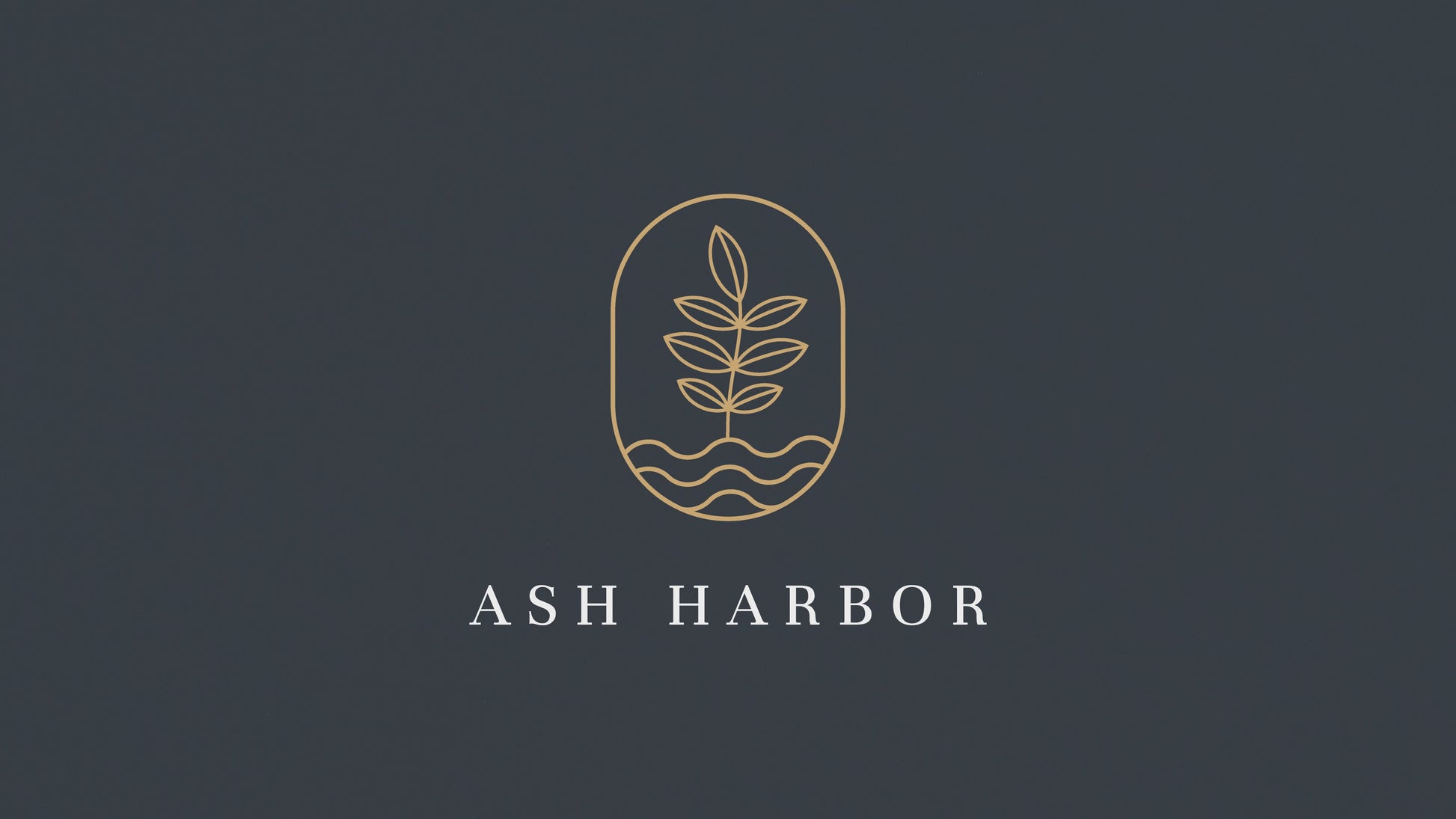 https://ashharbor.com/cdn/shop/products/4fc709566e654e2081eeea45dd72c73a.thumbnail.0000000000.jpg?v=1678130274&width=1946